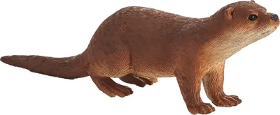 Imagen del producto de Animal Planet: Nutria