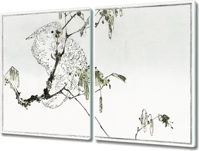 Produktbild von Coloray Hackbrett Kochplattenabdeckung Herdabdeckplatte 2x40x52 cm Schneidebrett Küchenbrett - Zweig verlässt Haustier Papagei