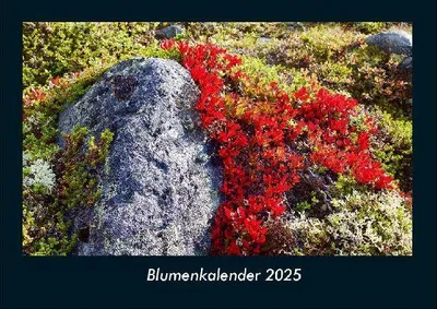 Produktbild von Blumenkalender 2025 Fotokalender DIN A4