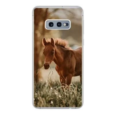 Produktbild von MuchoWow® Handyhülle Schutzhülle Hülle für Samsung Galaxy S10e Pferd - Licht - Wiese Silikon Softcase Handy Hülle - Handy