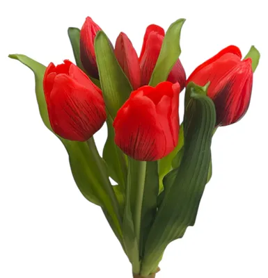 Produktbild von Künstlicher Tulpen-Bund 32cm "Soft-Touch" Kunstblume Tulpe Rot