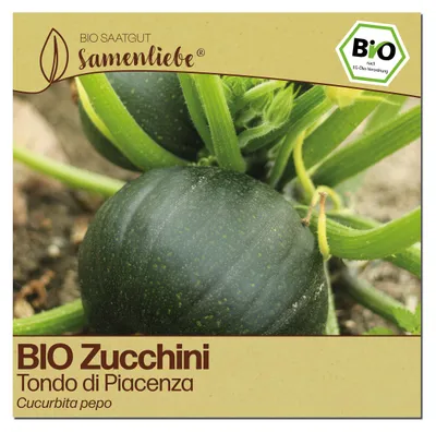 Produktbild von Samenliebe Zucchini Samen | Tondo di Piacenza - rund - samenfestes Saatgut