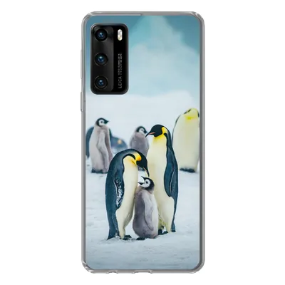 Produktbild von MuchoWow® Handyhülle Schutzhülle Hülle für Huawei P40 Kaiserpinguin-Küken wird gefüttert Silikon Softcase Handy Hülle - Handytasche
