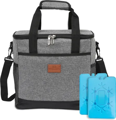 Image de Aopunly 15 L Sac isotherme Sac thermique Sac étanche Sac pique-nique Glacière pliable avec 2 packs de froid Eléments réfrigérants Camping Lunch Gris