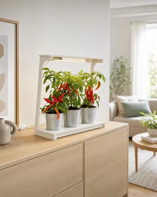 Image de Lampe de croissance LED Northpoint, 14W, spectre complet, 4000K, avec minuterie de 16 heures et système de connexion, Image générée par une IA
