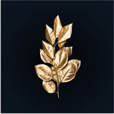 Produktbild von MuchoWow® Poster Pflanze - Blätter - Gold - Schwarz - Luxus 75x75 cm - Wand Dekoration