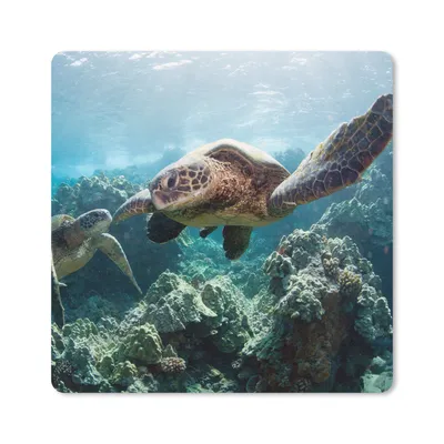 Produktbild von MuchoWow® Mauspad Mousepad Zwei Meeresschildkröten 20x20 cm - Mousepads - Maus Mat - Pad - Mausunterlage - Desk Mat - Bureauartikeln