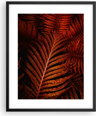 Produktbild von Gerahmtes Poster - Schwarzer Rahmen - Rot Blätter Palmen - 40x50 cm - Wand Bild - Wanddeko - Wandbilder - Kunstposter - Wandposter - Bilderrahmen - Bilder - Kunstdruck - P2BPA40x50-4816
