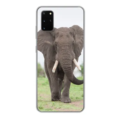 Produktbild von MuchoWow® Handyhülle Schutzhülle Hülle für Samsung Galaxy S20 Plus Elefant - Tiere - Gras - Natur Silikon Softcase Handy Hülle - Hartschale