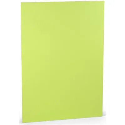 Produktbild von Karton A4 220 g/qm Maigrün