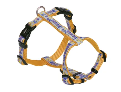 Produktbild von Nobby Geschirr "Style" L: 40-65 cm; B: 20 mm, orange