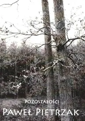 Image de Pozostałości - Paweł Pietrzak
