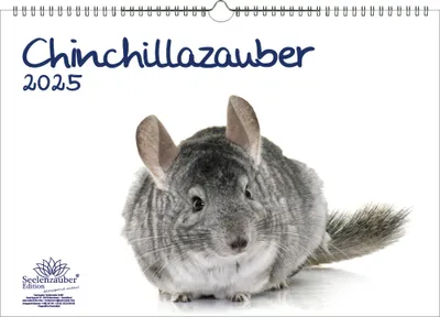 Produktbild von Chinchillazauber DIN A3 Kalender für 2025 Chinchilla - Seelenzauber