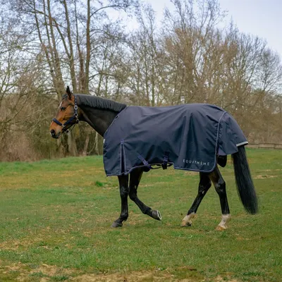 Image de Equithème Anatomic 1200D AI 200G - Taille 6'6