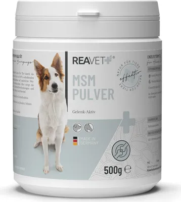 Produktbild von REAVET MSM Pulver 500g – MSM Pferd & Hund I Gelenkpulver für Sehnen, Bänder & Knorpel, Methylsulfonylmethan Pulver, Förderung der Bewegungsfreude