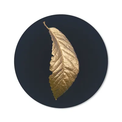 Produktbild von MuchoWow® Mauspad Mousepad Blätter - Luxus - Gold - Schwarz - Natur 20x20 cm - Mousepads - Maus Mat - Pad - Mausunterlage - Schreibtischmatte