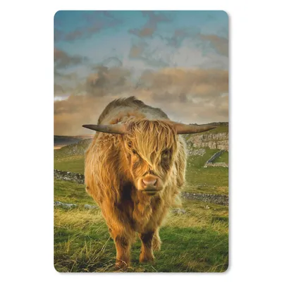 Produktbild von MuchoWow® Mauspad Mousepad Schottischer Highlander - Gras - Berg 40x60 cm - Mousepads - Maus Mat - Pad - Mausunterlage - Schreibtisch Accesoire