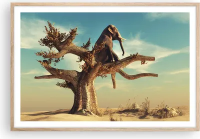 Produktbild von Gerahmtes Poster - Rahmen in heller Eiche - Sitzen Elefant Baum - 91,5x61 cm - Wand Bild - Wanddeko - Wandbilder - Wandposter - Bilderrahmen - Bilder - Kunstdruck - Wandbild - P2NAA91x61-4345