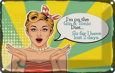Produktbild von vianmo Blechschild 12x18 cm I´m on the Gin & Tonic Diet