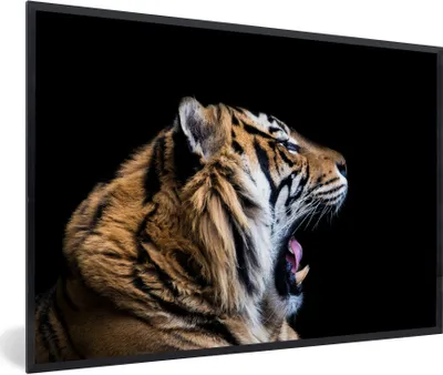 Produktbild von MuchoWow® Gerahmtes Poster Tiger - Tiere - Porträt 30x20 cm - Poster mit Schwarzem Bilderrahmen Wandposter Rahmen Foto Bilder - Kunstdruck - Bild-Poster