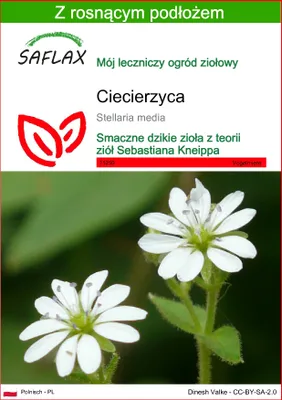 Zdjęcie produktu dla SAFLAX - ciecierzyca - 1000 Nasiona - Z podłożem uprawowym wolnym od zarazków - Stellaria media