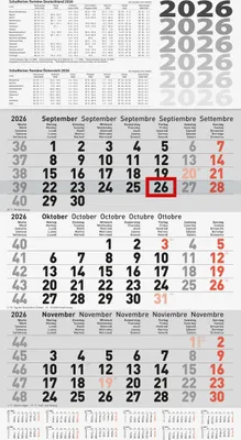 Produktbild von 2026 Brunnen 3-Monatskalender grau 300×560 mm 4061947142075
