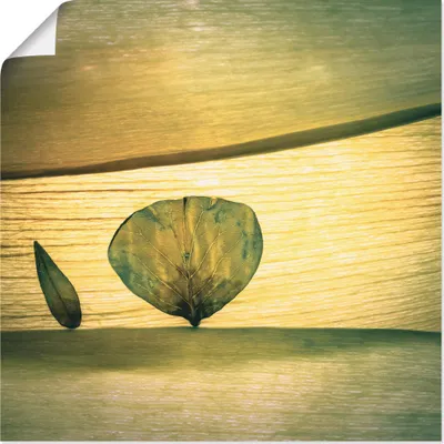 Produktbild von ARTland Poster Frühling? Größe: 70x70 cm