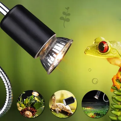 Obrázek produktu pro 360 stupňů otáčející se nastavitelná teplota želva ještěrka ryby plaz tepelné lampy základna klip držák osvětlení stojan (EU Plug 220V)