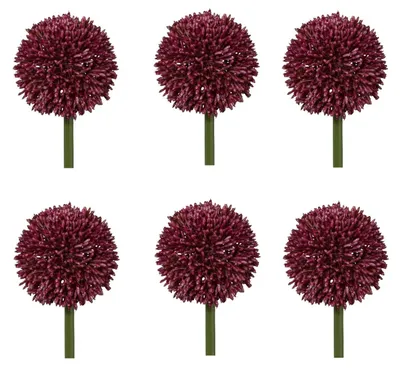 Produktbild von 6er Set künstliche Allium Kugelblüte rot H. 64cm Blüte D. 11cm GASPER Kunstblume