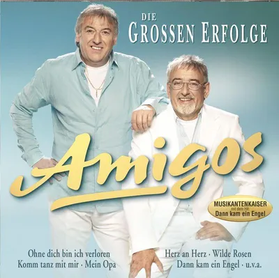 Produktbild von Die groáen Erfolge