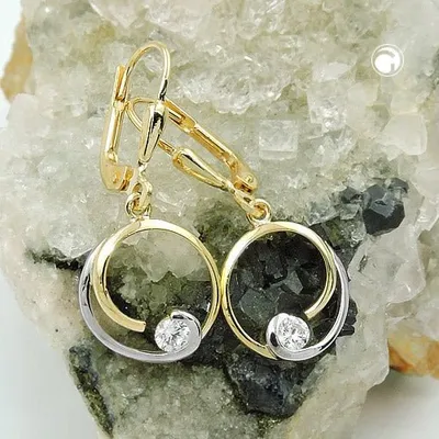 Produktbild von Brisur 28x11mm bicolor Kreis mit Zirkonia 9Kt GOLD