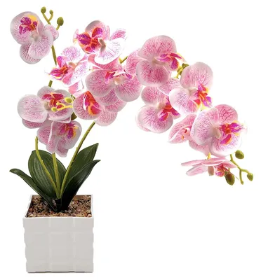 Kunstorchidee 13 Blüten, 50 cm, rosa, im Kunststofftopf