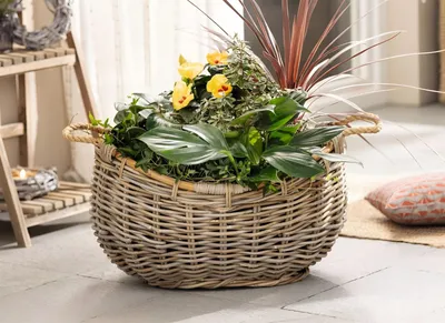 Produktbild von XXL Pflanzkorb "Koobo Grey" aus Rattan, 58 x 43 cm, Blumentopf, Pflanzkübel, Pflanztopf, Blumenkorb