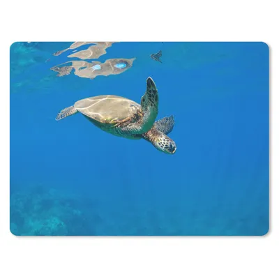 Produktbild von MuchoWow® Mauspad Mousepad Schildkröte schwimmt im Meer 23x19 cm - Mousepads - Maus Mat - Pad - Mausunterlage - Schreibtischunterlage - Mauspad