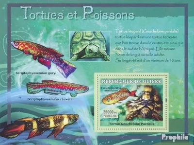 Produktbild von Briefmarken Guinea 2007 Mi Block 1189 (kompl. Ausgabe) postfrisch Pantherschildkröte
