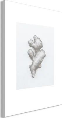 Produktbild von Vlies Leinwandbild - Ginger (1 Part) Vertical 40x60 cm Blumen b-A-0407-b-a
