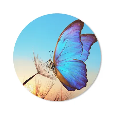Produktbild von MuchoWow® Mauspad Mousepad Schmetterling - Löwenzahn - Blau 30x30 cm - Mousepads - Maus Mat - Pad - Mausunterlage - Tischunterlage - Schreibtischmatten