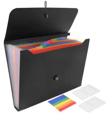Image de Classeur de documents avec 13 compartiments, format A4