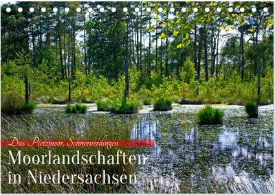 Produktbild von Niedersachsens Moorlandschaften - Das Pietzmoor, Schneverdingen (Tischkalender 2025 DIN A5 quer), CALVENDO Monatskalender