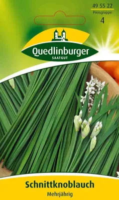 Produktbild von Quedlinburger Saatgut - Schnittknoblauch Mehrjährig - Samen - 495522