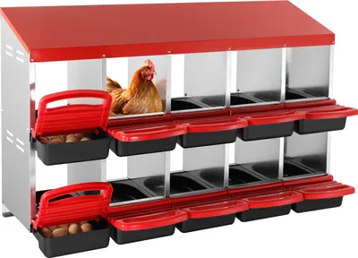 A chicken nesting box with multiple compartments and a chicken inside one of the compartments.