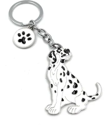 Image de Onwomania - Chien Dalmatien tacheté - Porte-clés métal, idéal comme cadeau par ex. pour le meilleur ami, la meilleure amie, maman - Pour hommes, femmes & enfants