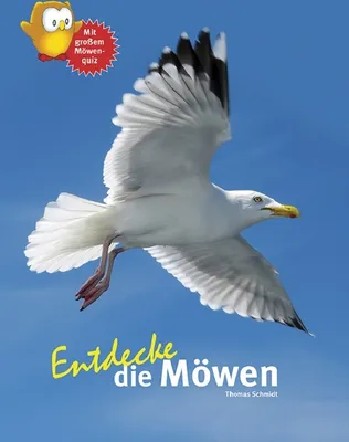 Image de Entdecke die Möwen