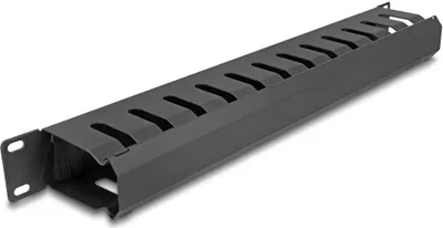 Produktbild von Delock 19 Zoll Kabelmanagement Rangierpanel mit Bürste und 2 Öffnungen 1 HE schwarz