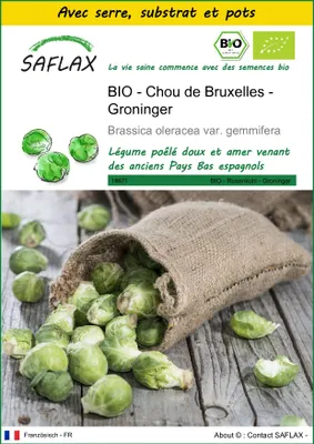 Image de SAFLAX Ensemble de culture -- Chou de Bruxelles - Groninger - 30 graines - Brassica