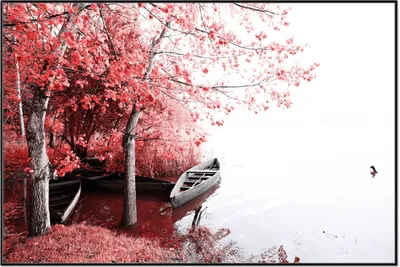 Produktbild von Wallario Wandbild Romantische Bootsanlegestelle in rot-weiß, Größe: 61 x 91,50 cm, Poster mit schwarzem Aluminiumrahmen