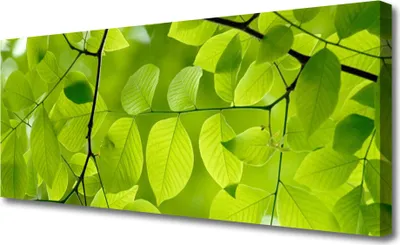 Produktbild von Tulup Leinwand-Bilder 125x50 Wandbild Canvas Kunstdruck Blätter Natur