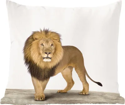 Produktbild von MuchoWow® Zierkissen Sofakissen Wohnzimmer Dekokissen 50x50 cm Jungen - Löwe - Tiere - Kinder - Mädchen - Komfort - Sofakissen