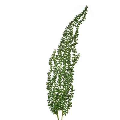 Produktbild von Clayre & Eef Kunstpflanze 77 cm Grün Kunststoff