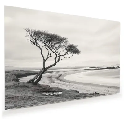 Produktbild von Glasbild 75x50cm in XXL für Wohnzimmer, Schlafzimmer Motiv Einsamer Baum am Meer